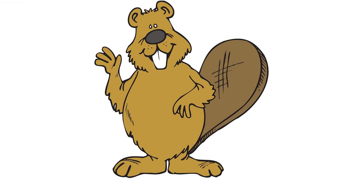 Informatik-Biber 2021