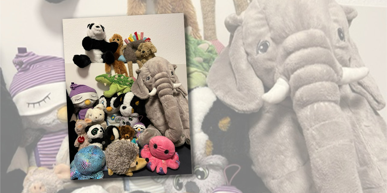 Aufruf zur 4. Spendenaktion: Wir sammeln Kuscheltiere zu Weihnachten!