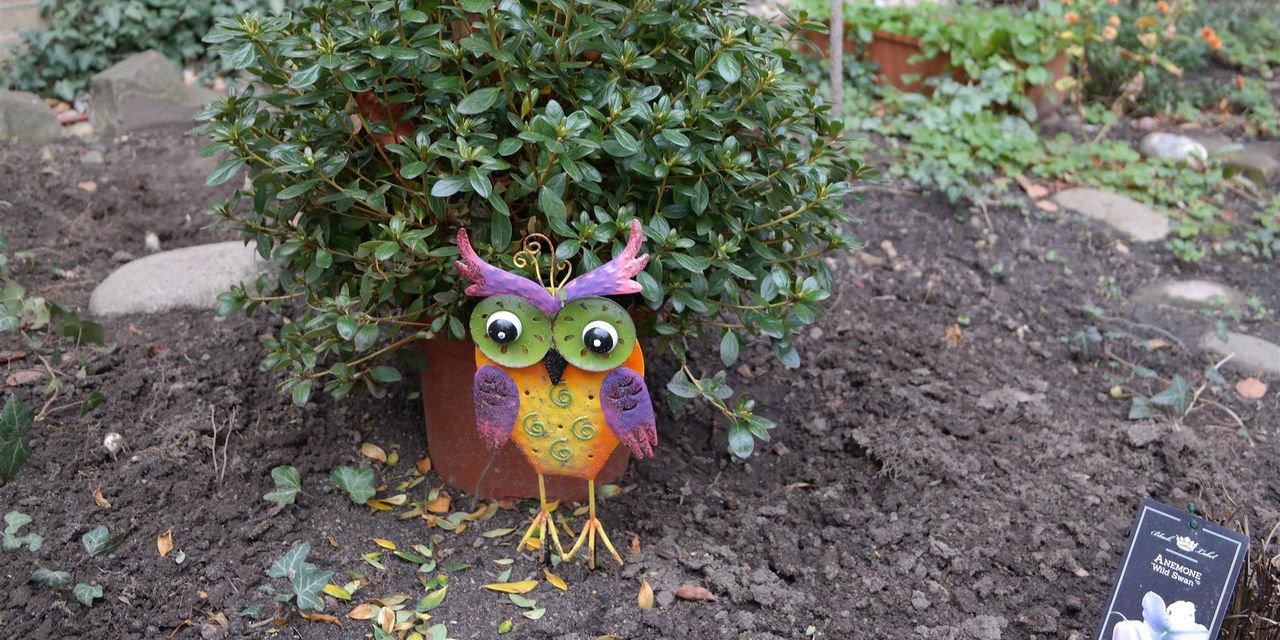 Komm in die Schulgarten-AG